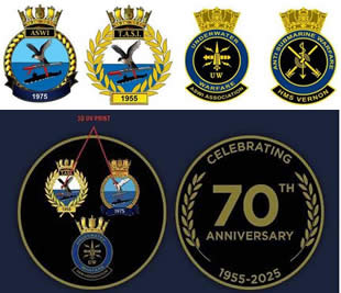 ASWI lapel pins ASWI lapel pins